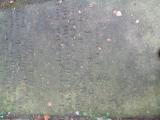 image of grave number 758947